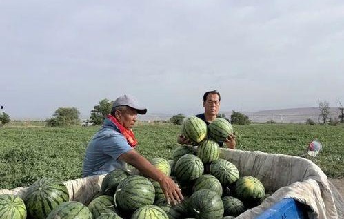 娱乐718.吃瓜王大炮