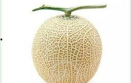 吃瓜群众图片真人头像,揭秘吃瓜群众的真实面容